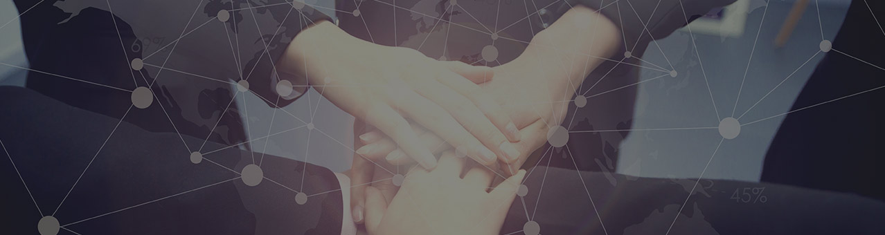 9001cc金沙以诚为本(中国)有限公司官网